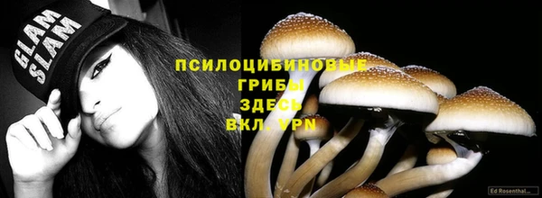 прущая мука Горнозаводск