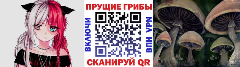Галлюциногенные грибы прущие грибы  Купить закладки  Кохма 